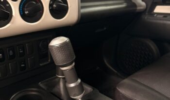 
FJ CRUISER 2019 full									