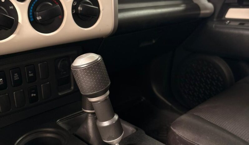 
FJ CRUISER 2019 full									