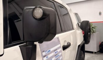 
FJ CRUISER 2019 full									