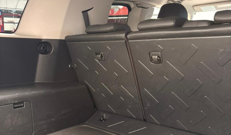 
FJ CRUISER 2019 full									