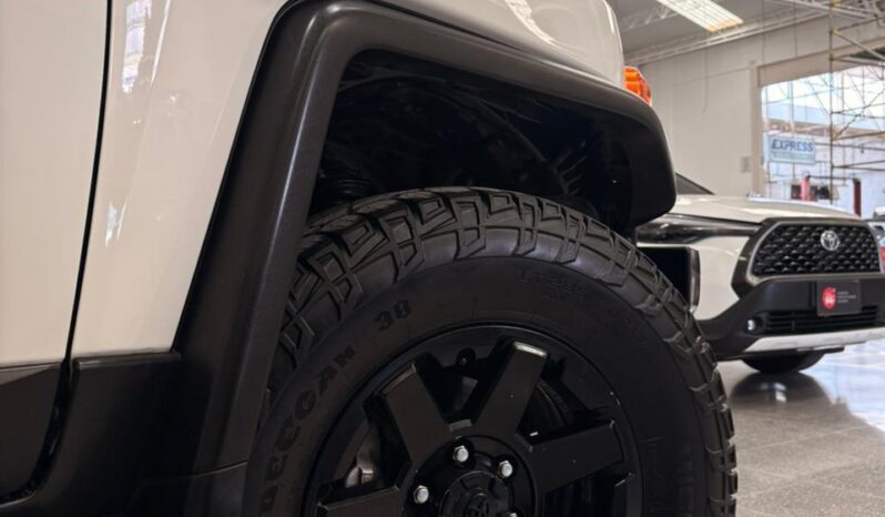
FJ CRUISER 2019 full									