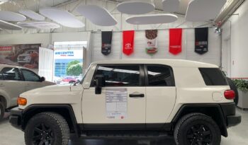 
FJ CRUISER 2019 full									