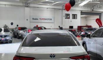 COROLLA SEG HV 2020 full