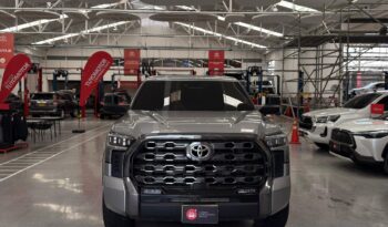 
										TUNDRA PLATINUM full									