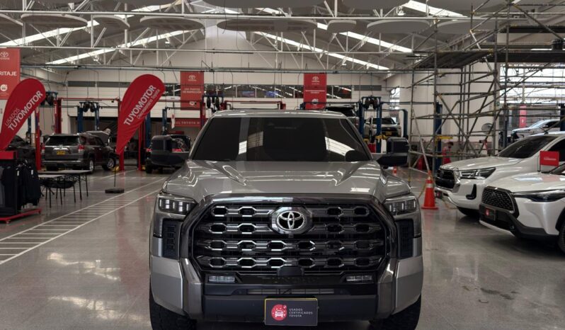 
								TUNDRA PLATINUM full									