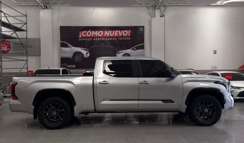 
								TUNDRA PLATINUM full									