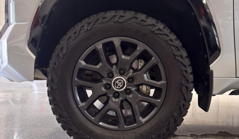 
								TUNDRA PLATINUM full									