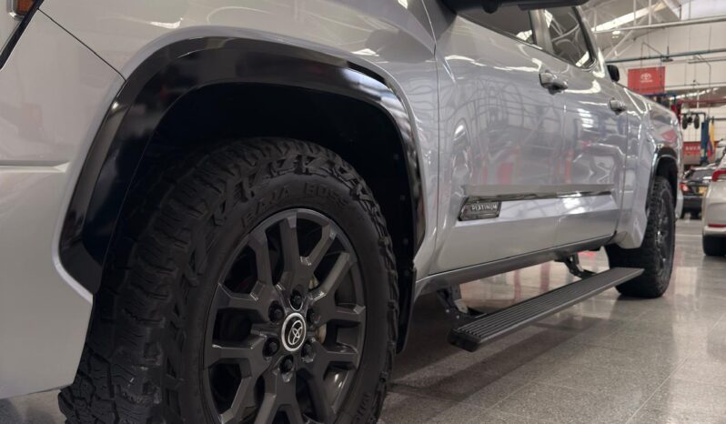 
								TUNDRA PLATINUM full									