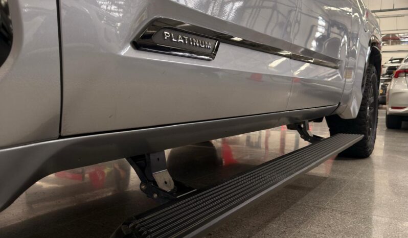 
								TUNDRA PLATINUM full									