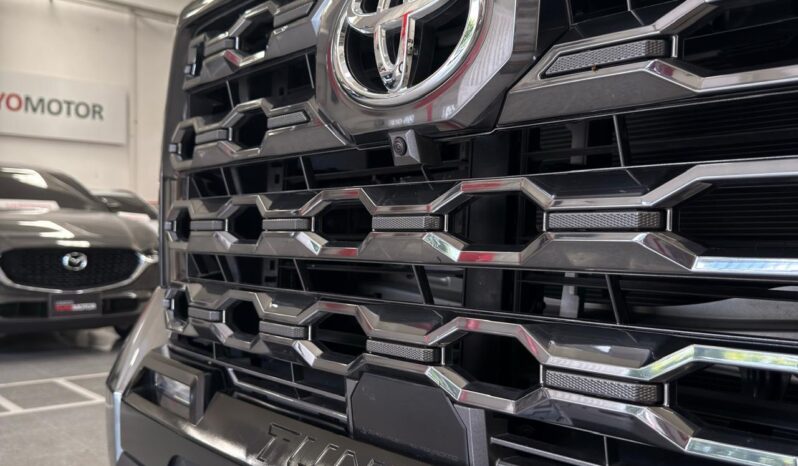 
								TUNDRA PLATINUM full									