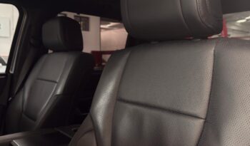 
										TUNDRA PLATINUM full									