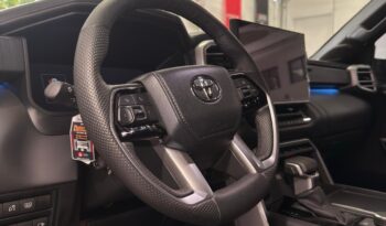 
										TUNDRA PLATINUM full									