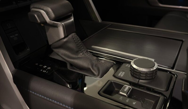 
								TUNDRA PLATINUM full									