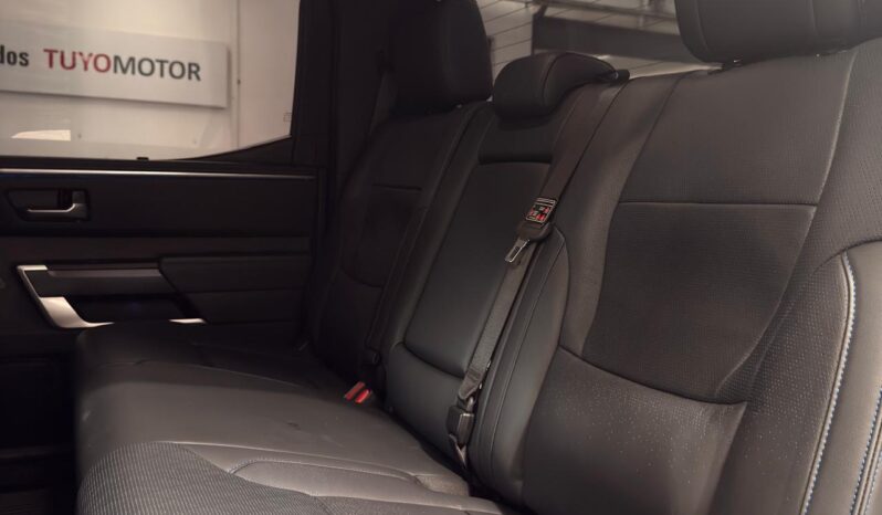 
								TUNDRA PLATINUM full									