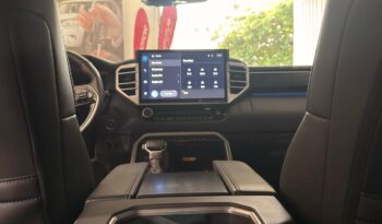 
										TUNDRA PLATINUM full									