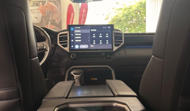 
								TUNDRA PLATINUM full									