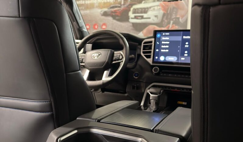 
								TUNDRA PLATINUM full									