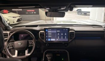 
										TUNDRA PLATINUM full									