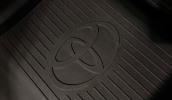 
										TUNDRA PLATINUM full									