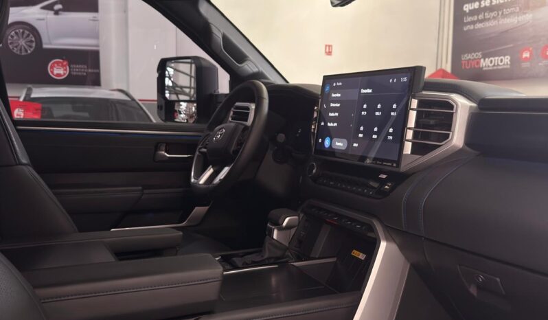 
								TUNDRA PLATINUM full									