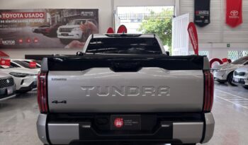 
										TUNDRA PLATINUM full									