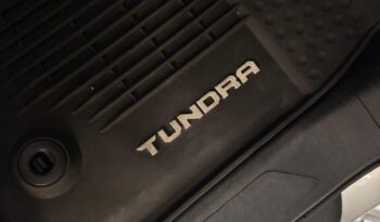 
										TUNDRA PLATINUM full									