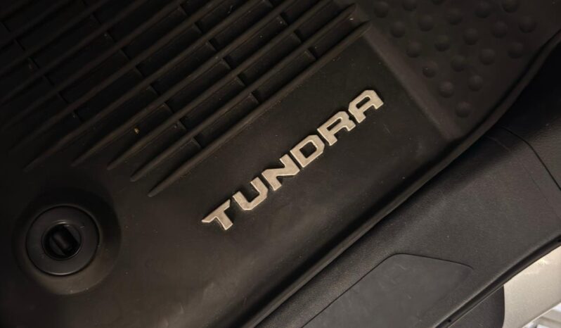 
								TUNDRA PLATINUM full									