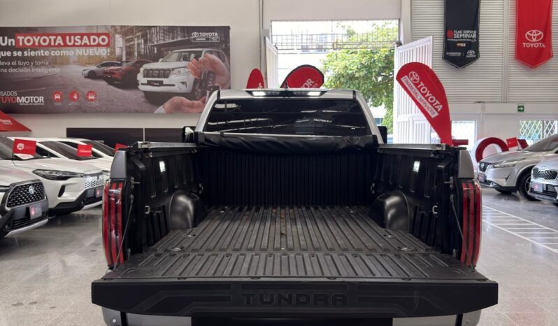 
								TUNDRA PLATINUM full									