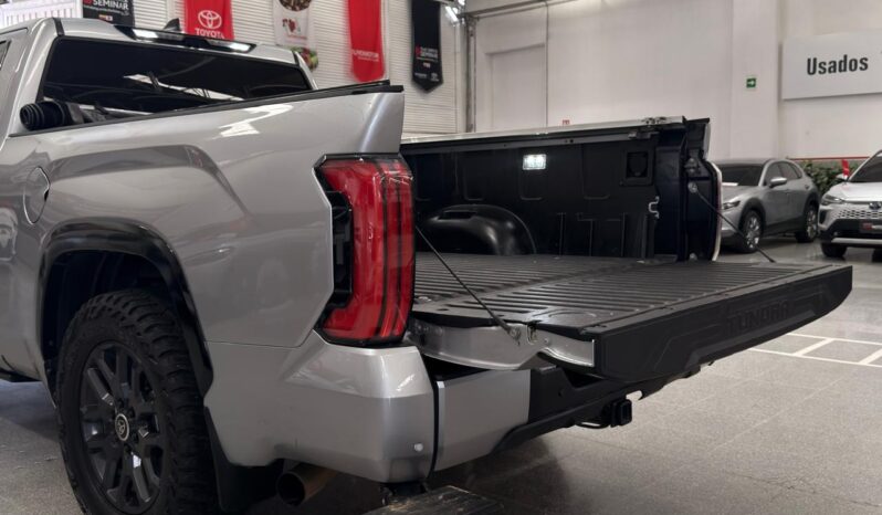 
								TUNDRA PLATINUM full									