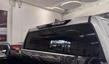 
										TUNDRA PLATINUM full									