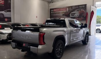 
										TUNDRA PLATINUM full									