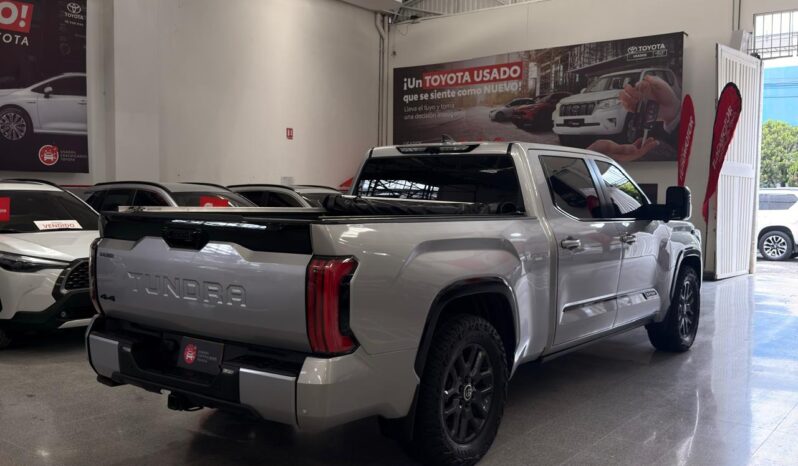 
								TUNDRA PLATINUM full									