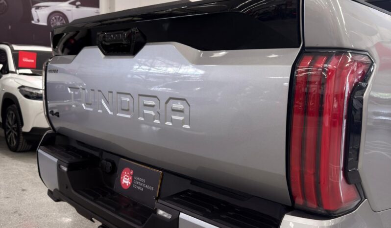 
								TUNDRA PLATINUM full									