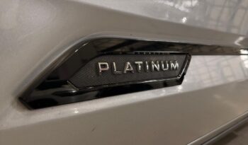 
										TUNDRA PLATINUM full									