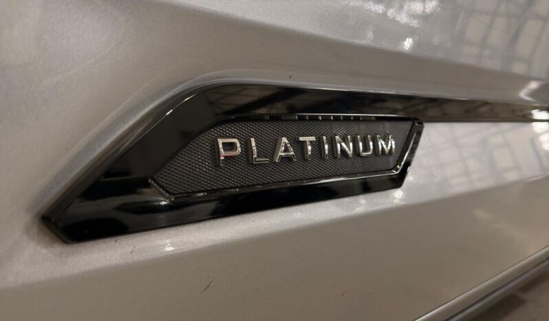 
								TUNDRA PLATINUM full									