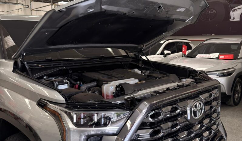 
								TUNDRA PLATINUM full									