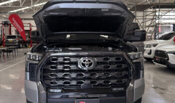 
										TUNDRA PLATINUM full									