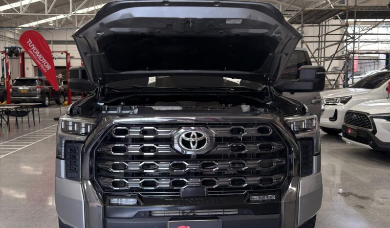 
								TUNDRA PLATINUM full									