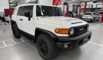
										FJ CRUISER 4×4 4.0 2019 GASOLINA full									