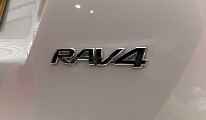 
								RAV STREET 2.0 4X2 GASOLINA 2019 full									